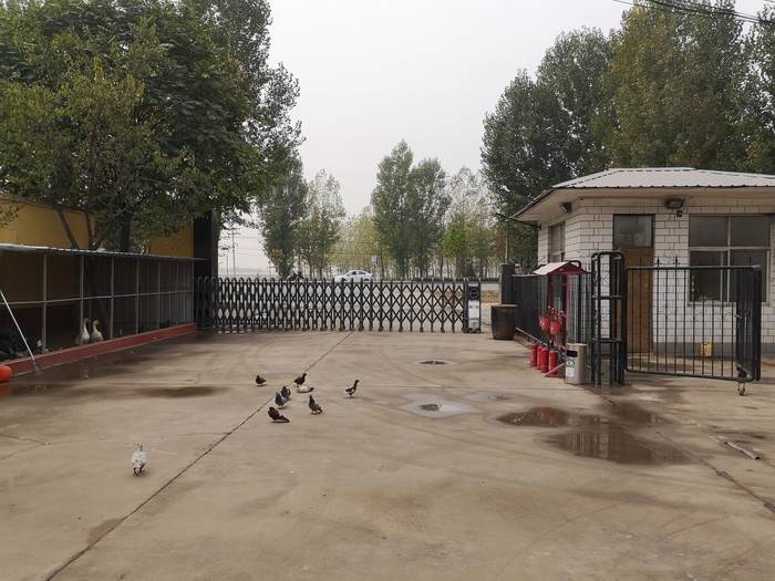 �����C(j��)